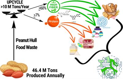 Peanut hulls, an underutilized nutritious culinary ingredient: valorizing food waste for global food, health, and farm economies—a narrative review